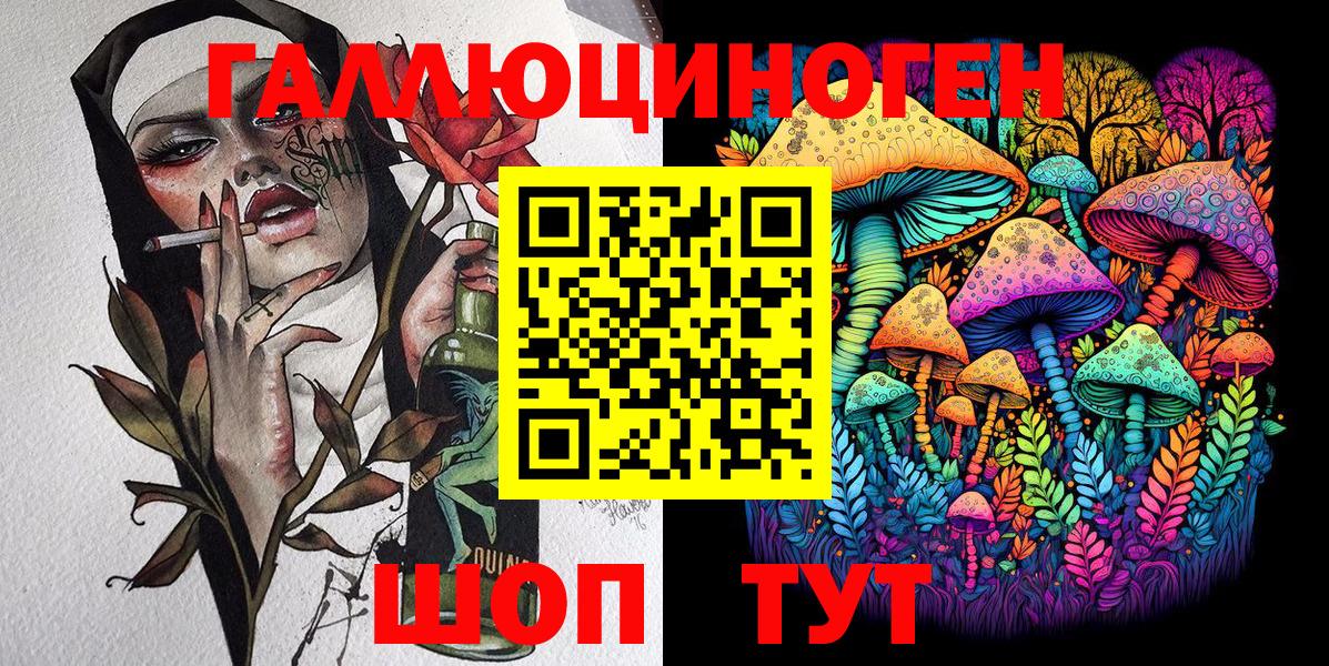 Галлюциногенные грибы Psilocybe Ейск