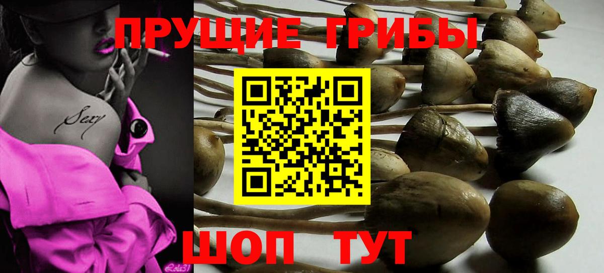 Ейск  Галлюциногенные грибы мухоморы  Вход с VPN 